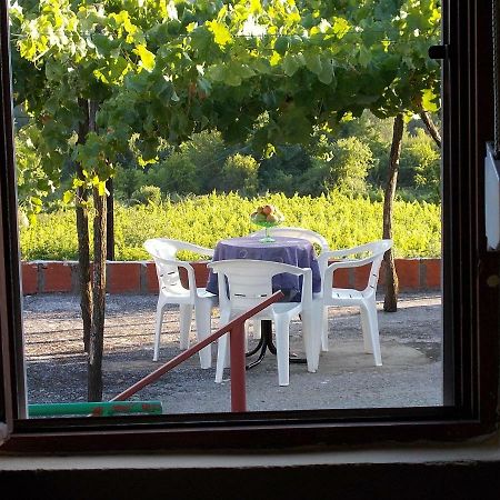 Guesthouse Feel Lake فيربازار المظهر الخارجي الصورة