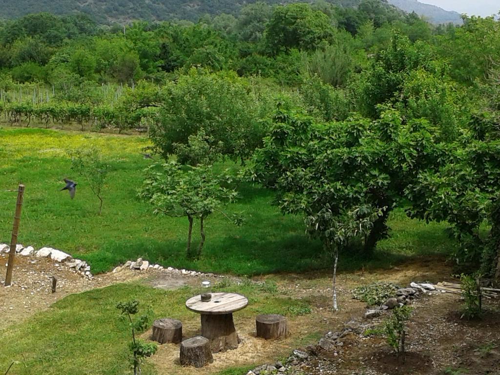 Guesthouse Feel Lake فيربازار المظهر الخارجي الصورة